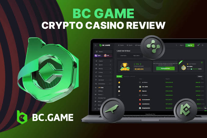 Understanding BC.Game Mirror Why It Matters for Gamers Understanding BC.Game Mirror Why It Matters for Gamers