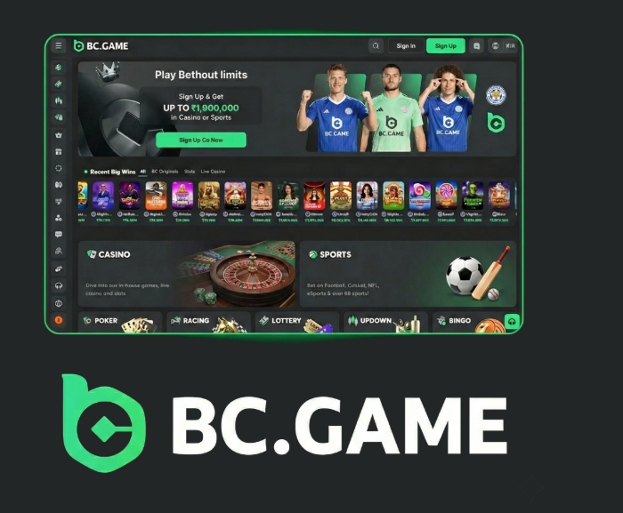 Understanding BC.Game Mirror Why It Matters for Gamers Understanding BC.Game Mirror Why It Matters for Gamers